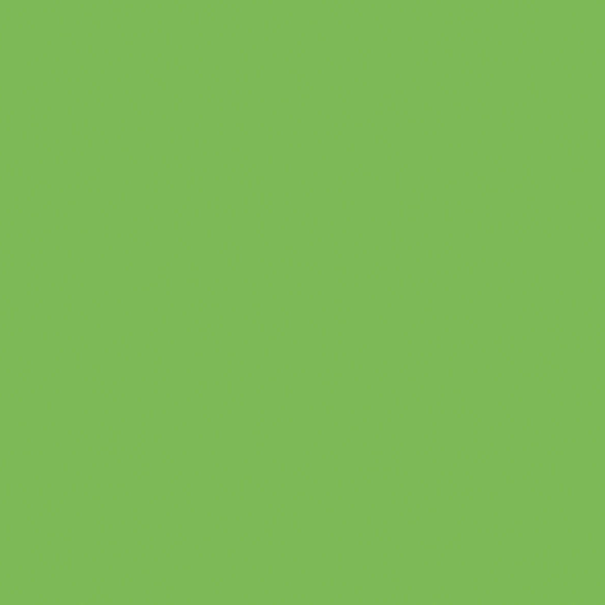 Cretacolor Lightfast Watercolour Pencils | Single Colours