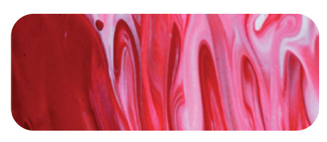 Matisse Structure Series 6
