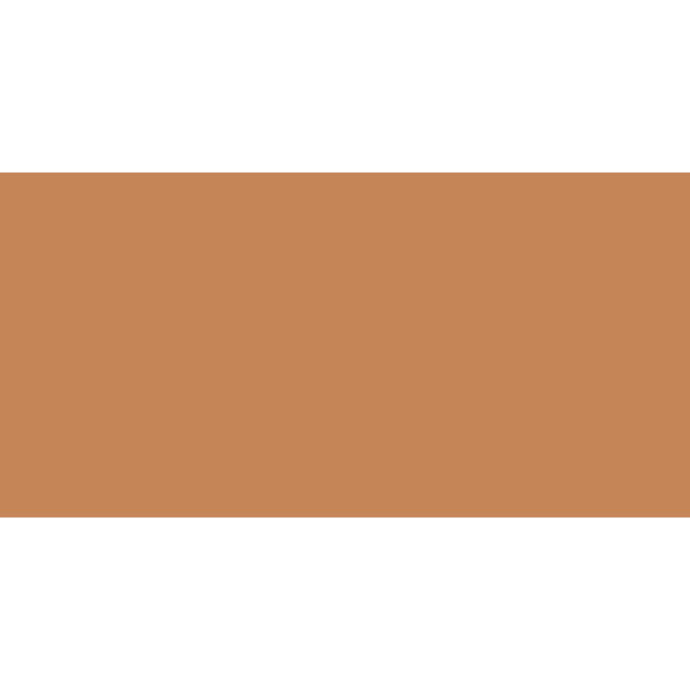 Shinhan Brush Marker | Brown Tones