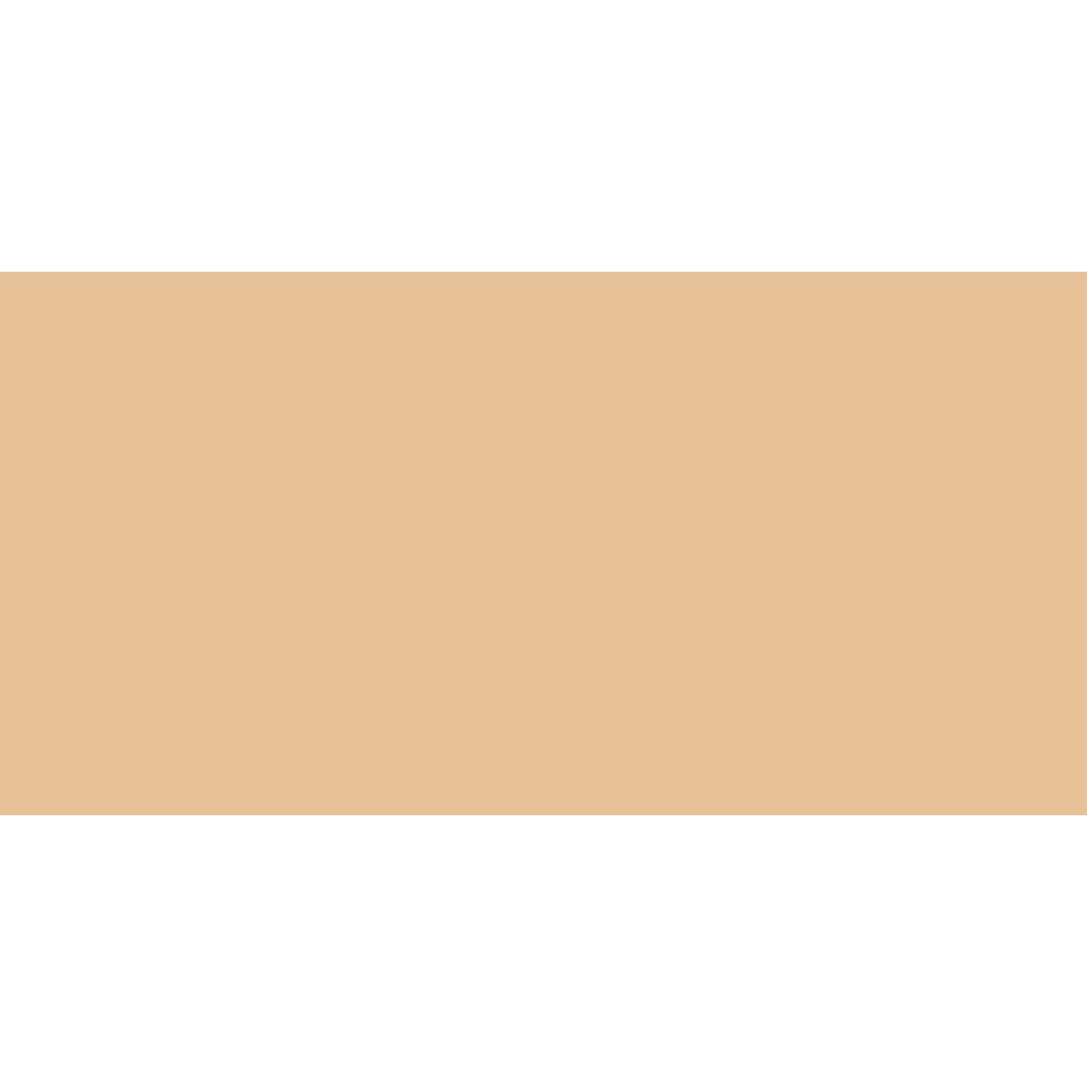 Shinhan Brush Marker | Brown Tones