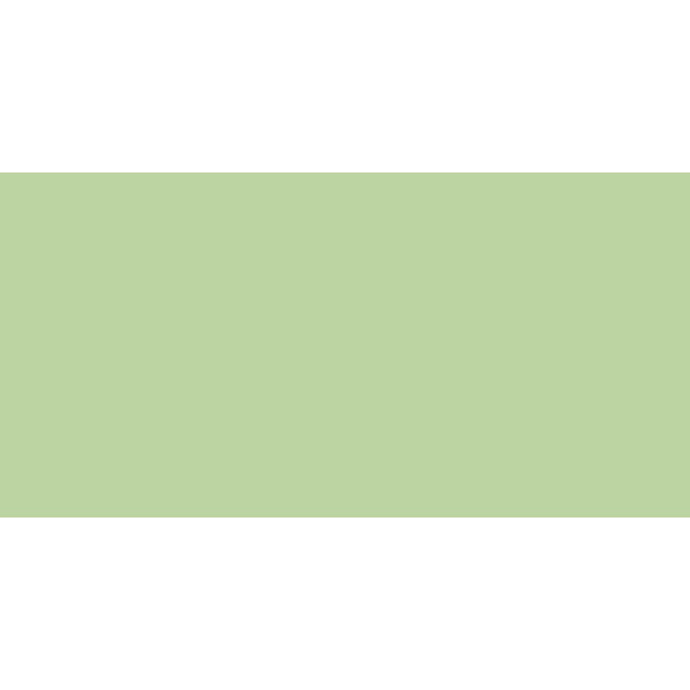 Shinhan Brush Marker | Green Tones