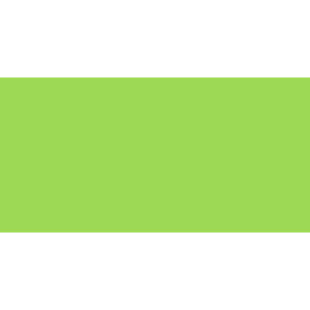 Shinhan Brush Marker | Green Tones