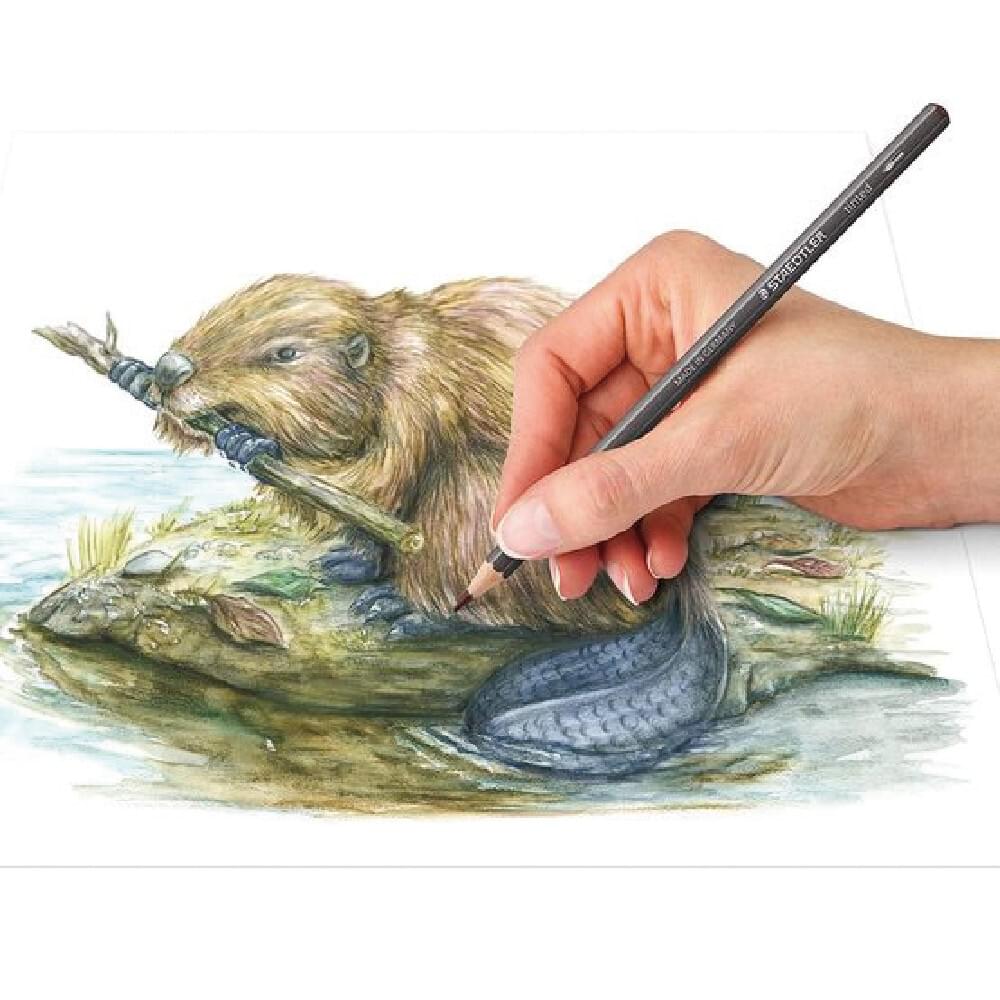 Staedtler Tinted Graphite Tin 12